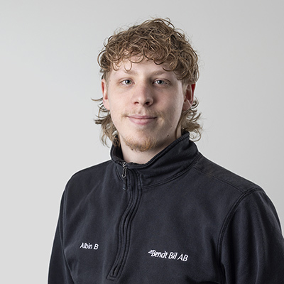 Albin Borg